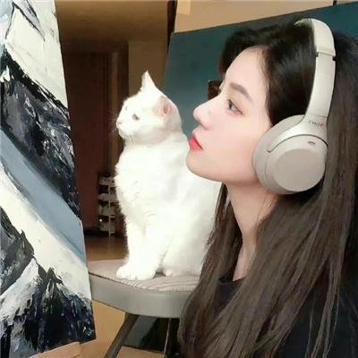 纯情拳击手
